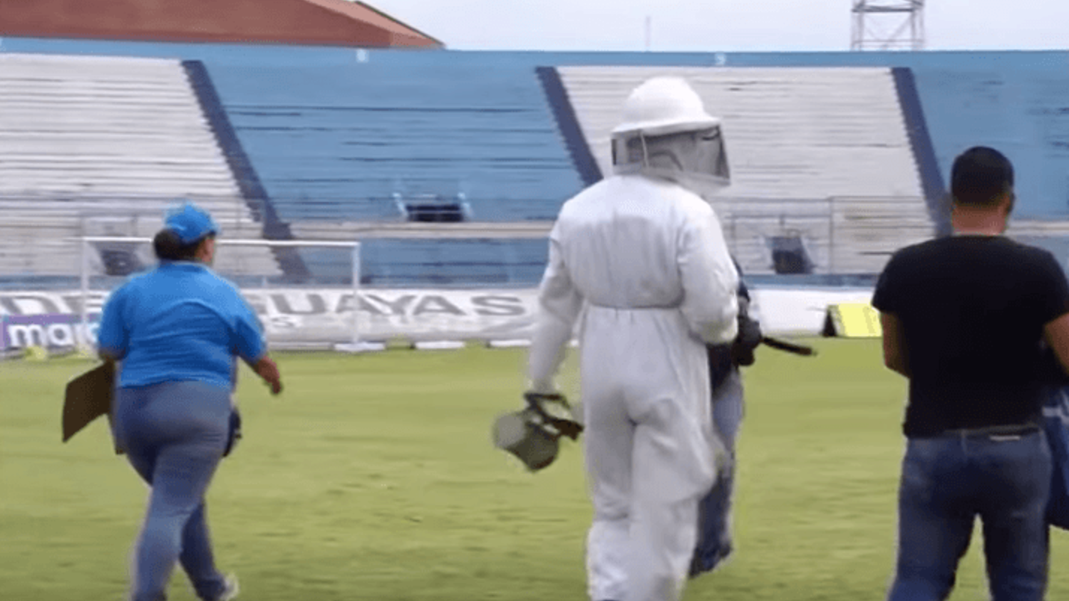 Match abandoned due to a swarm of bees