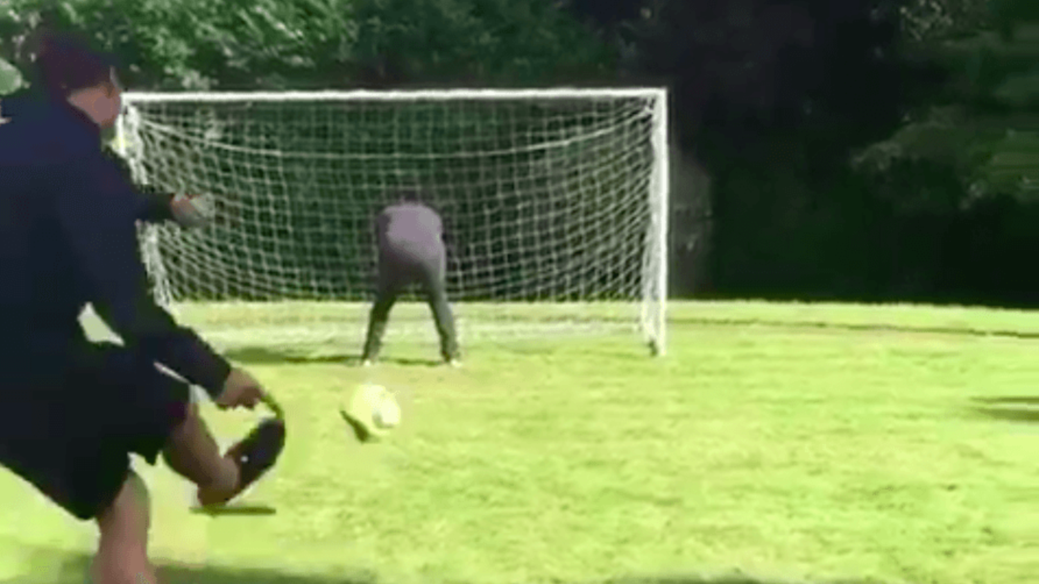 Zlatan Ibrahimovic ruins friend during target practice