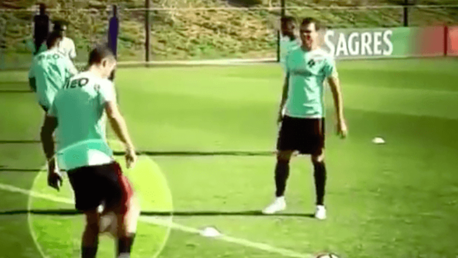 Cristiano Ronaldo tries to teach Pepe skills... and fails